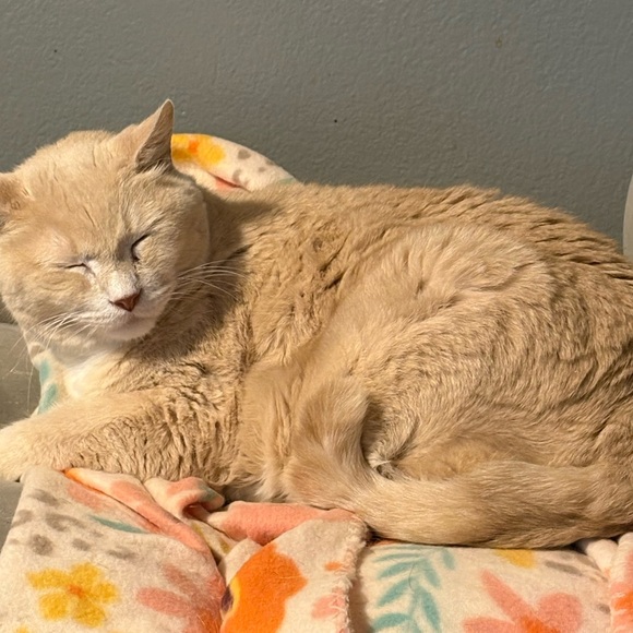 Meet your Posher, Kelley - Picture 5 of 5